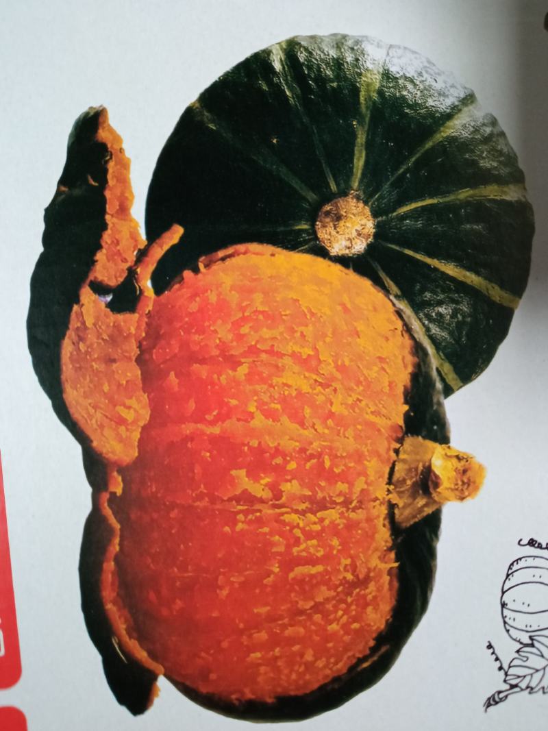 贝贝南瓜粉糯香甜基地直供个个精品