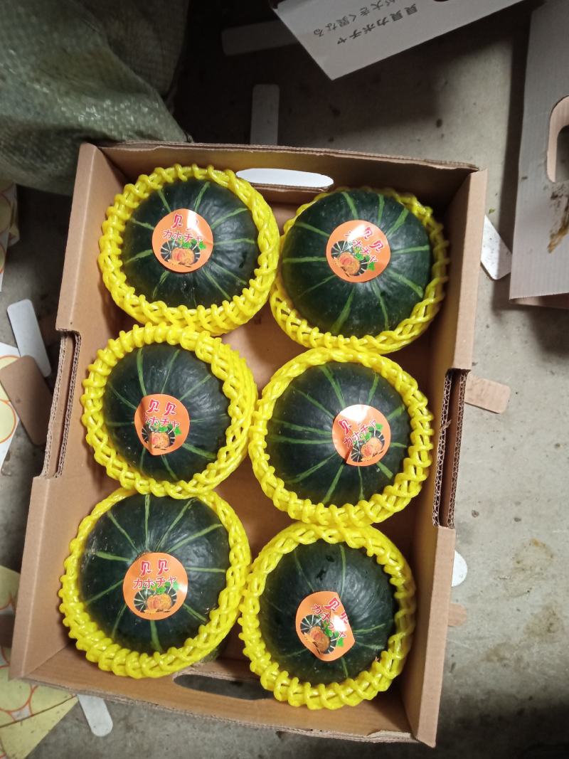 贝贝南瓜粉糯香甜基地直供个个精品