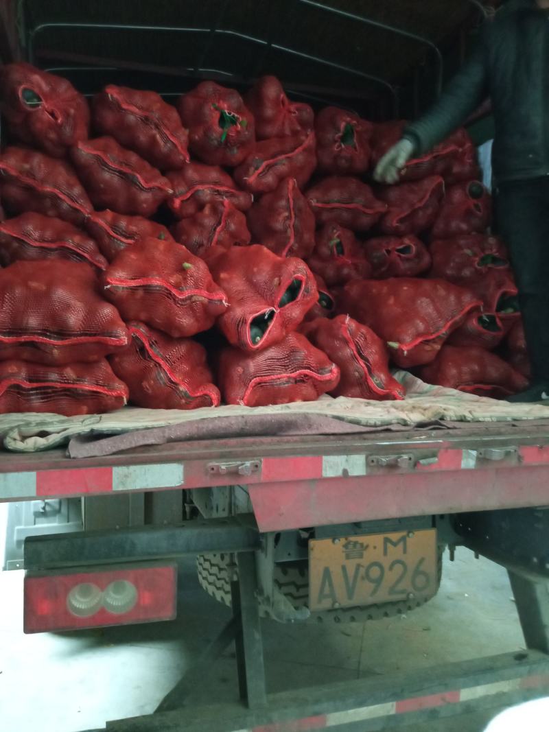 贝贝南瓜粉糯香甜基地直供个个精品