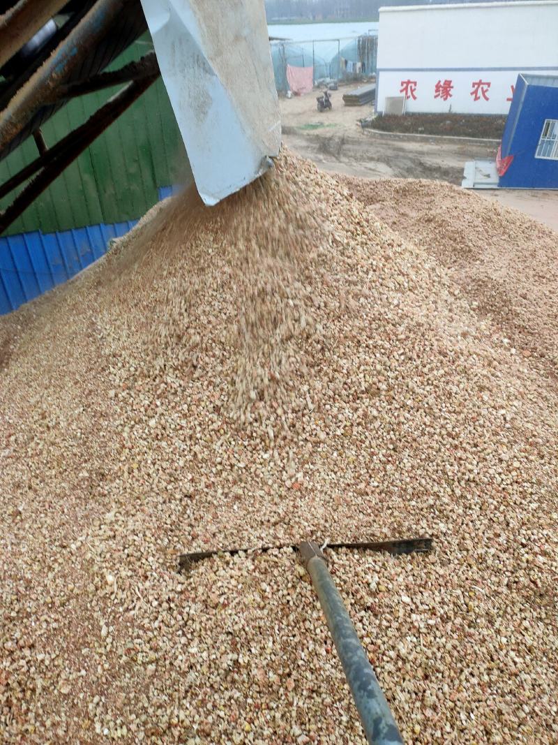 河南省太康县农缘农业发展有限公司，智贤食用菌种植专合作社