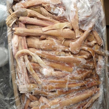 【驴蹄筋】驴蹄筋干净颜色新鲜质量好出肉率高