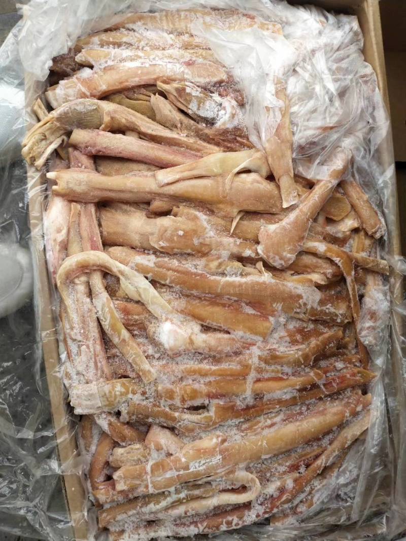 【驴蹄筋】驴蹄筋干净颜色新鲜质量好出肉率高
