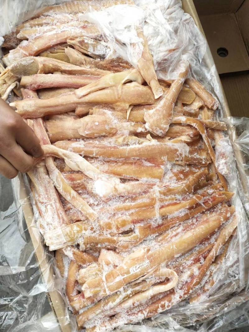 【驴蹄筋】驴蹄筋干净颜色新鲜质量好出肉率高