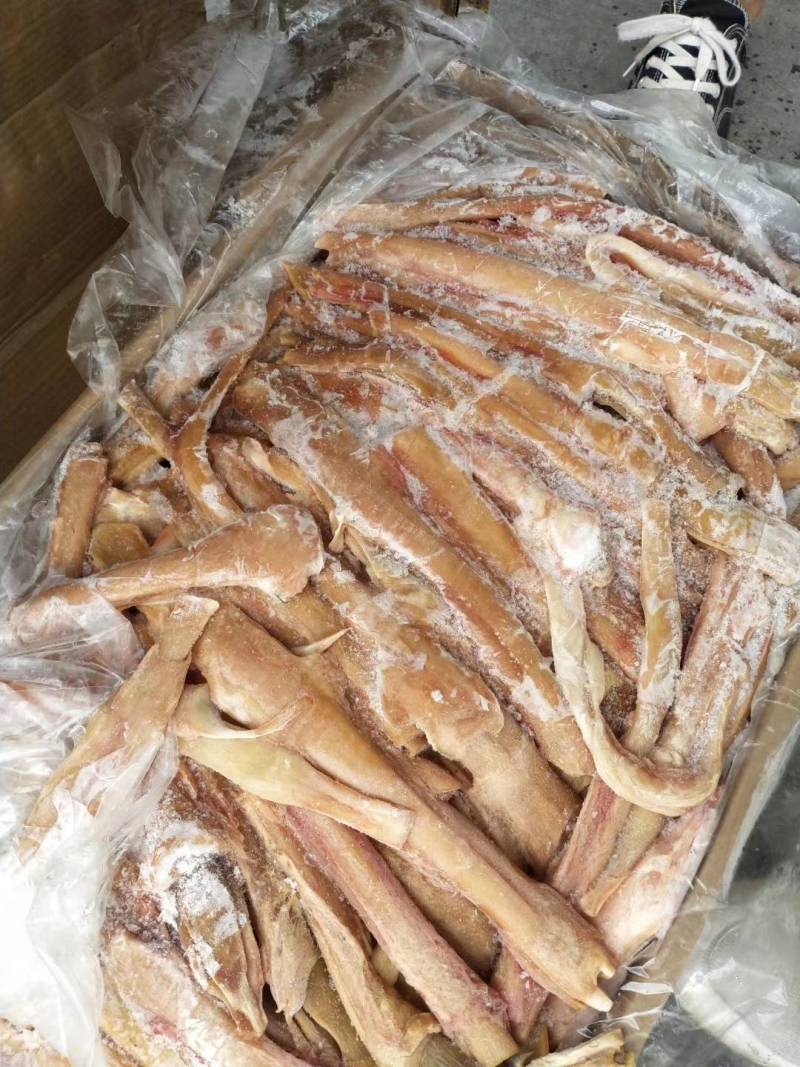 【驴蹄筋】驴蹄筋干净颜色新鲜质量好出肉率高