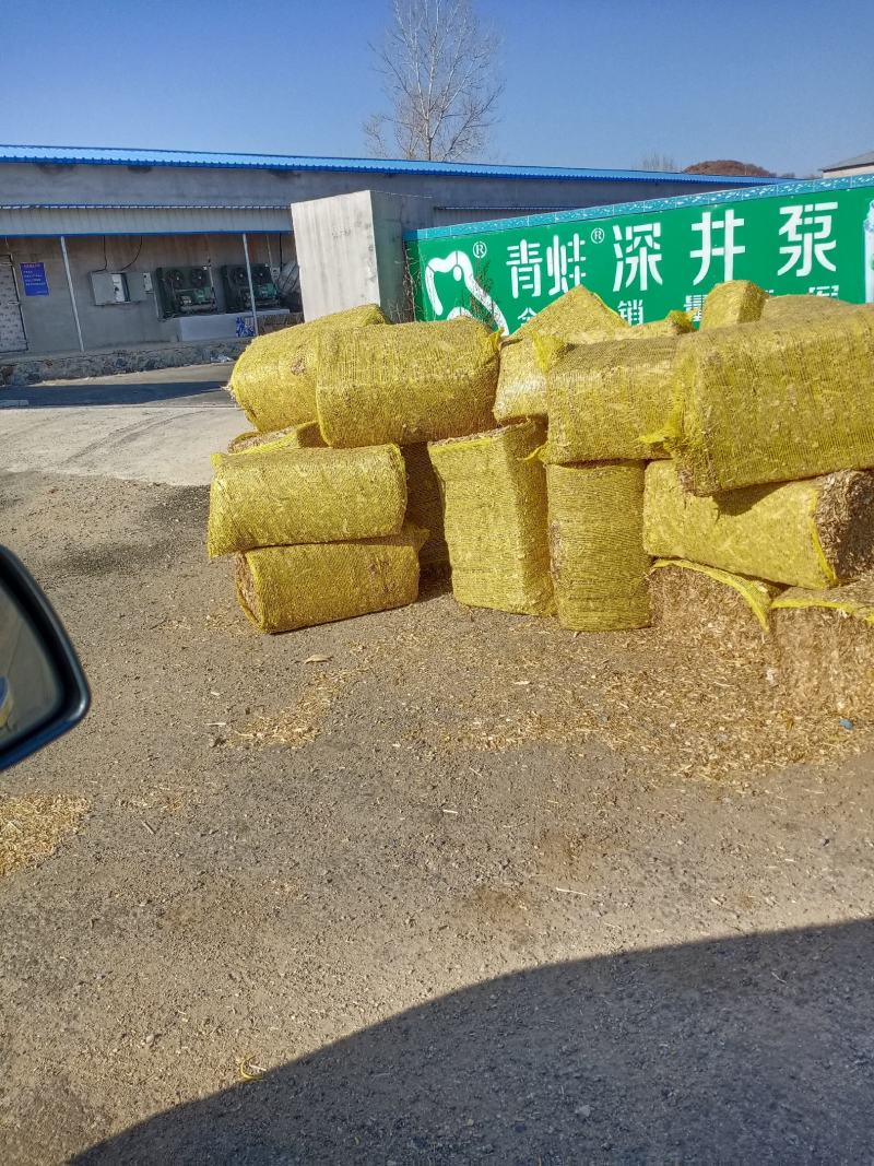 牛饲料，草垛，玉米秸秆。