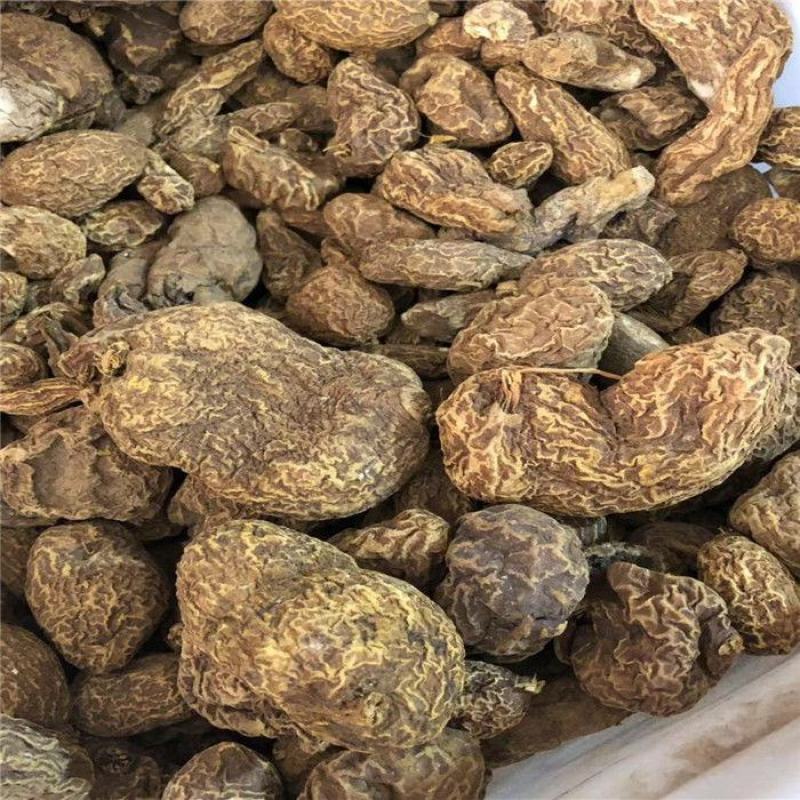 无硫货金果榄金牛胆苦牛胆货好量大要多了有优惠