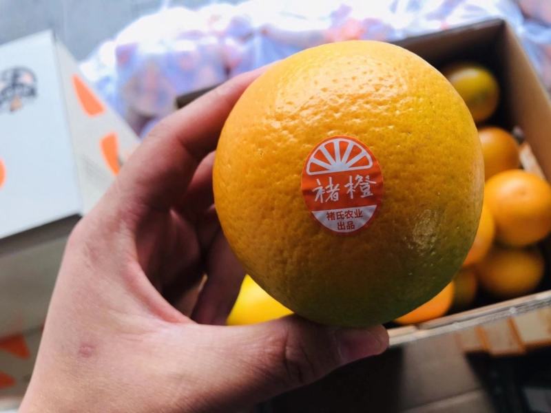 褚橙工厂直发口感爆甜细嫩化渣大品牌名气大