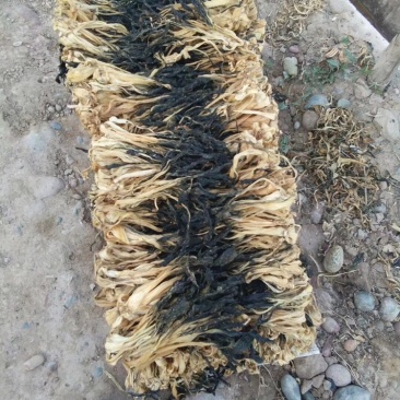 干盐菜，干白菜，霉干菜，干菜，湖南本地盐菜