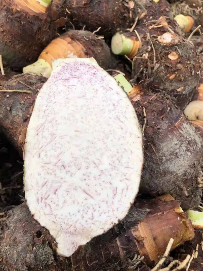 荔浦芋正宗荔浦芋头去皮切块芋头新鲜去皮发货500g一袋