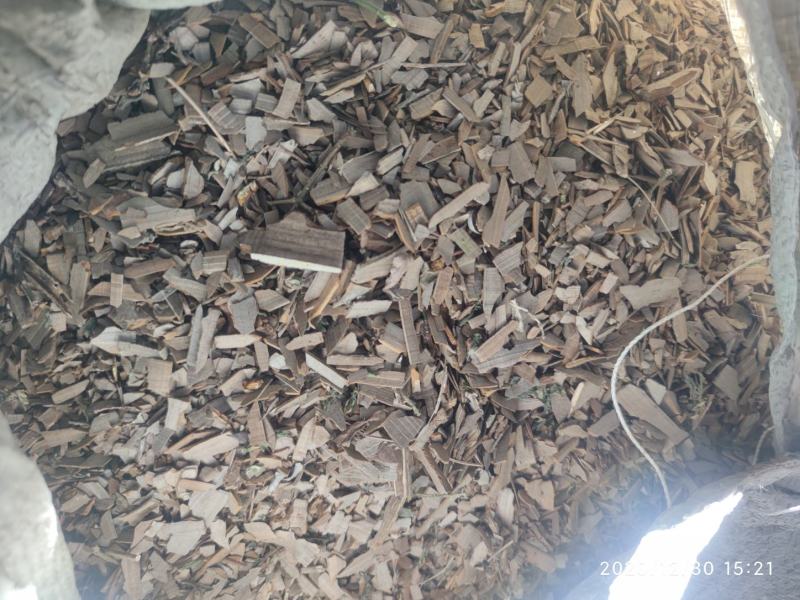 鬼箭羽大片手掰货统货过电筛新鲜枝条各种规格产地大量批发