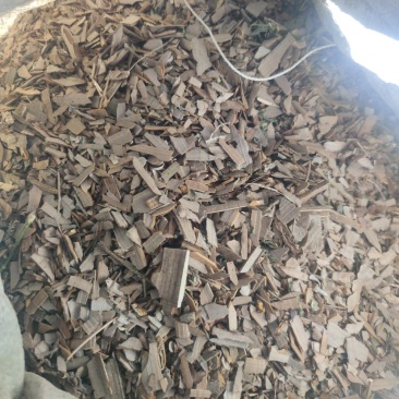 鬼箭羽大片手掰货统货过电筛新鲜枝条各种规格产地大量批发