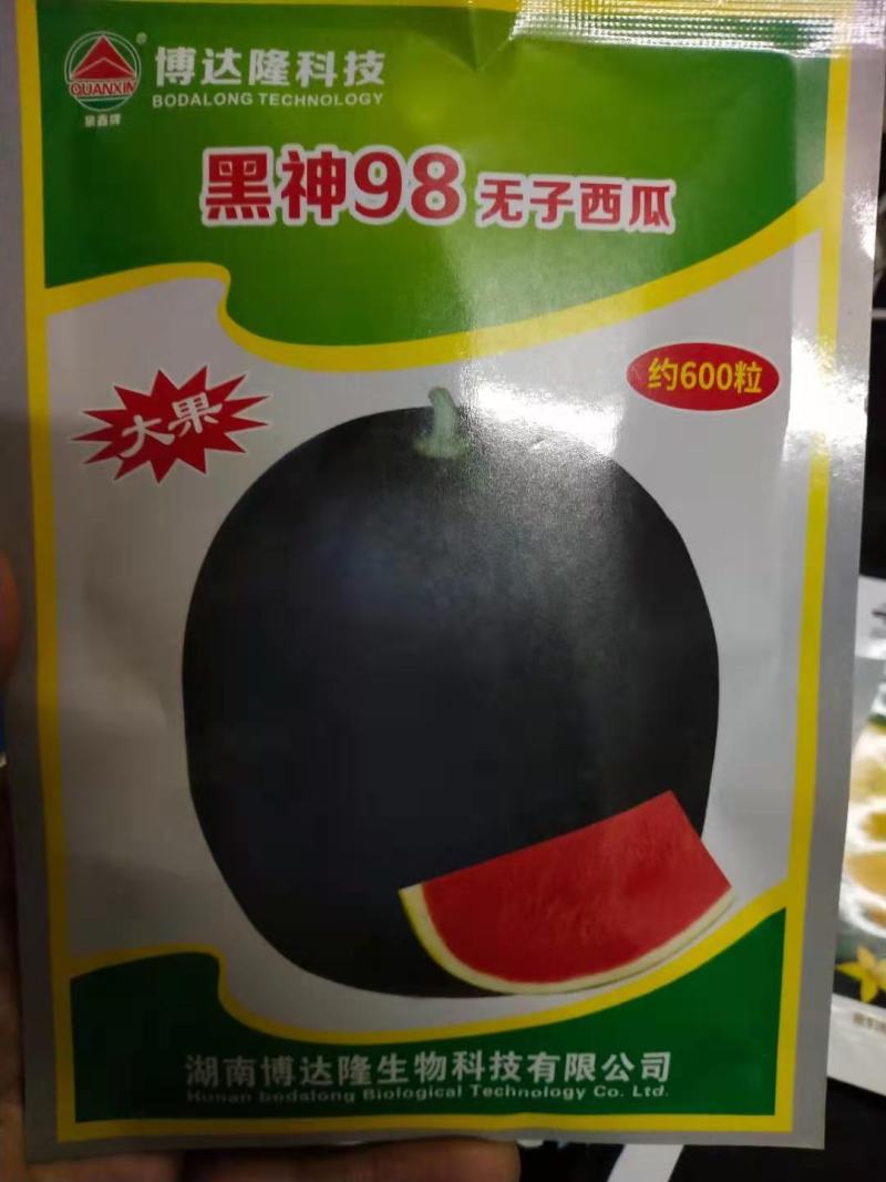 黑神98西瓜种子无籽西瓜种子黑神98约600粒大果圆球型