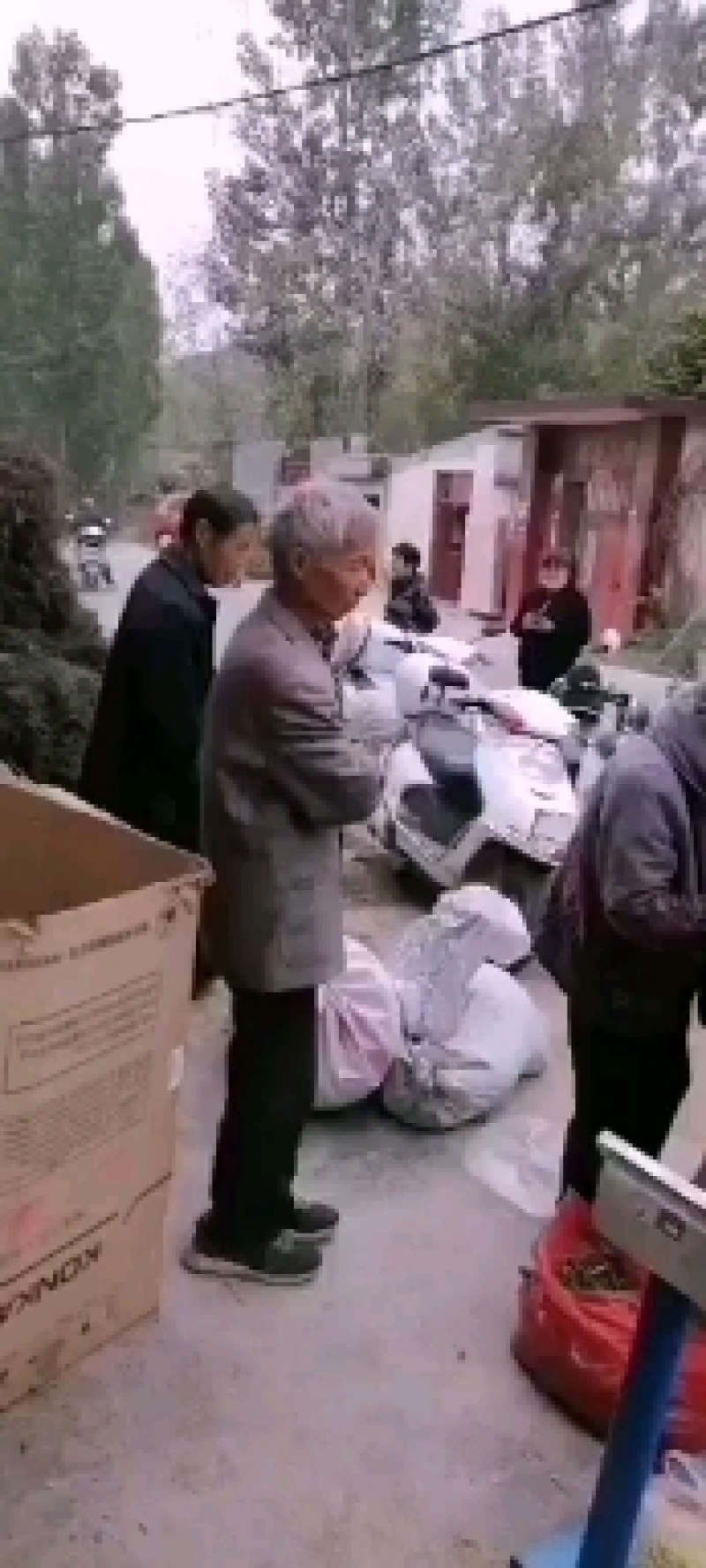 龟甲野：零售:批发:小龟甲一手货源欢迎釆购