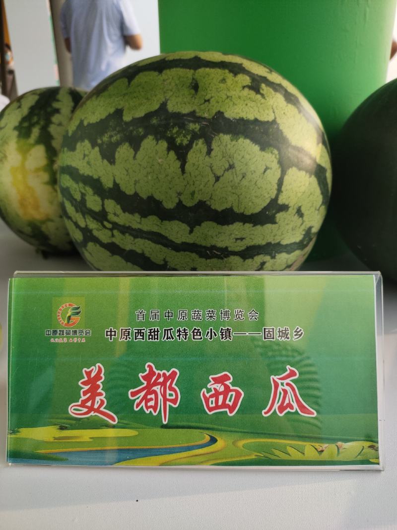 美都西瓜种子，美之都早熟26天高糖5一9公斤