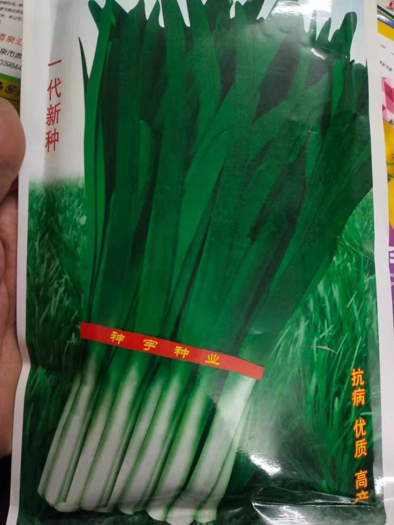韭菜种子丰冠韭菜一代新种抗病，详细介绍请看包装说明谢谢