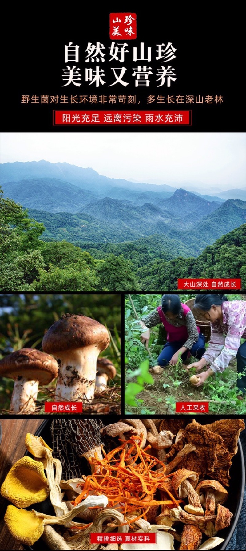 七彩云南十珍菌汤包蘑菇团购超市直播供应链。