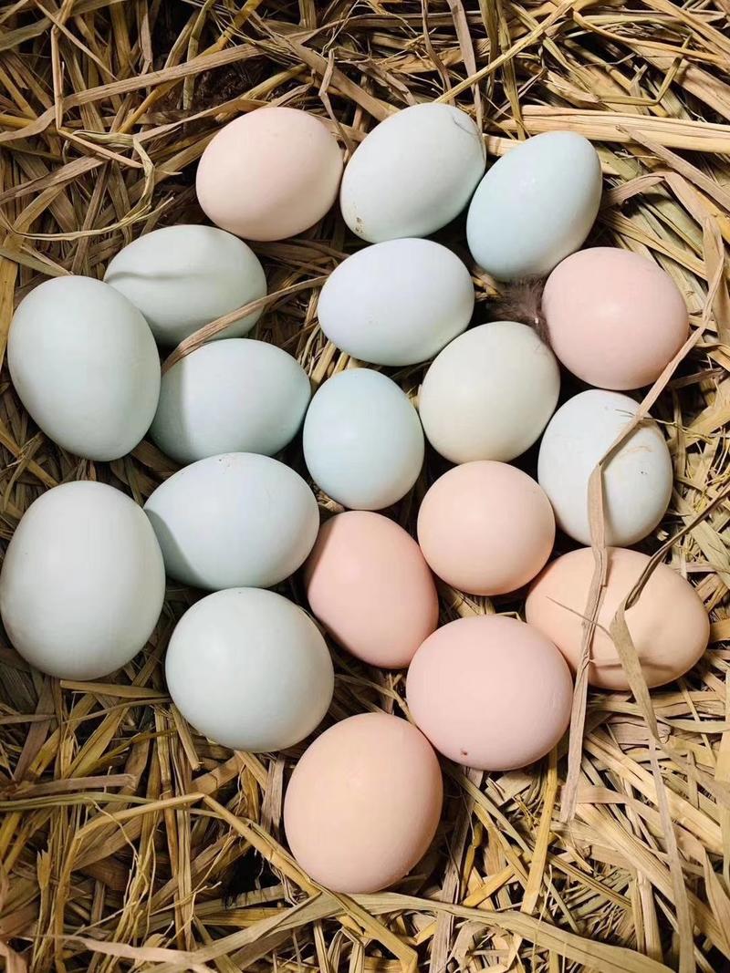 【推荐】正宗散养土鸡蛋，12个一斤，绿壳65%，自产自销