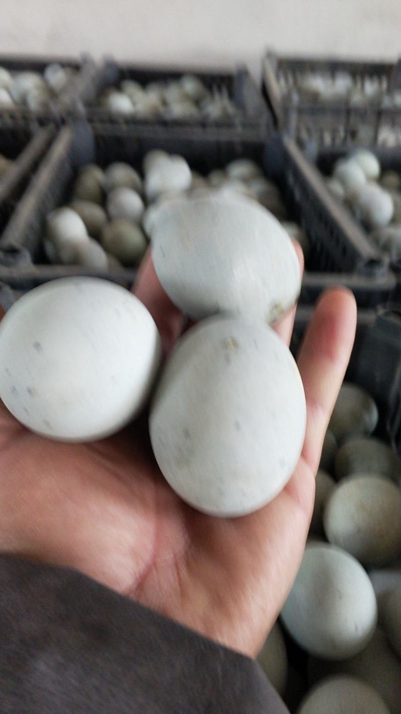 无铅松花蛋赶集早市年前赚钱产品