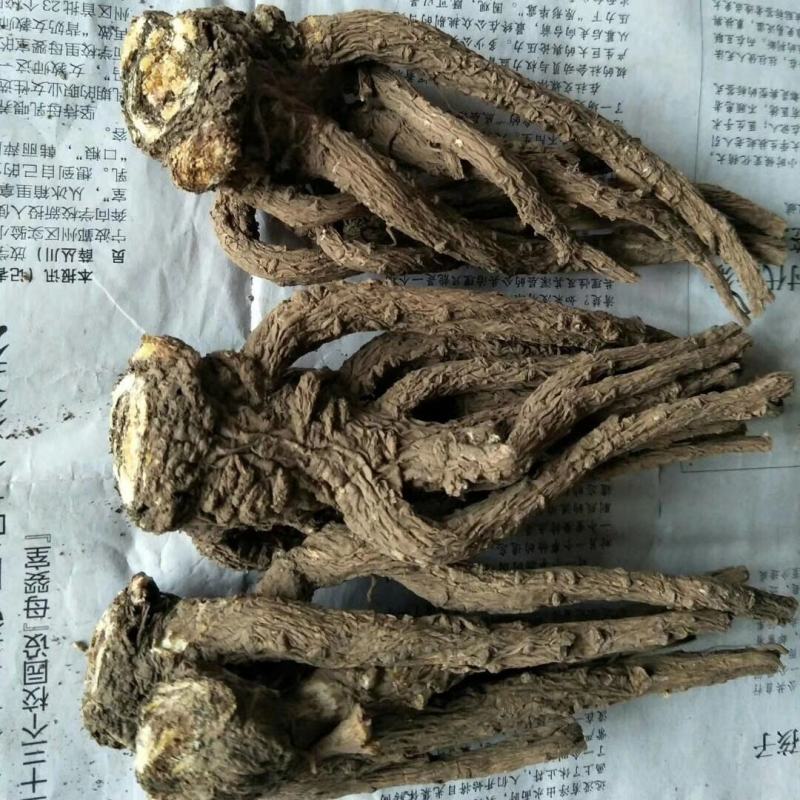 （包邮）甘肃岷县无硫大条当归，当归片产地直供，质量保
