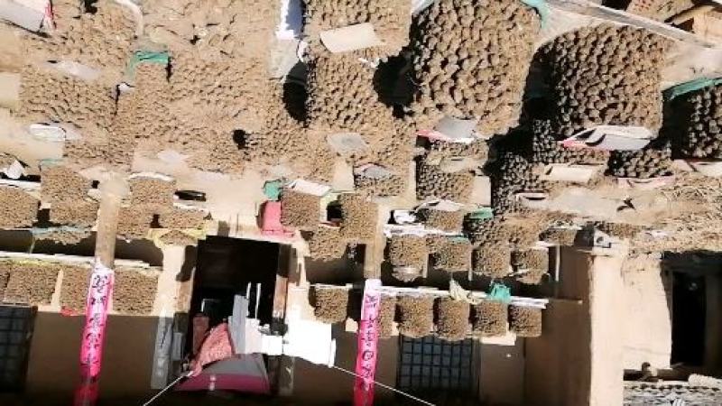 甘肃岷县无硫大条当归条，当归片产地批发（包邮）