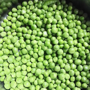 大凉山新鲜豌豆青豌豆白豌豆大量上市，籽粒饱满口感清甜
