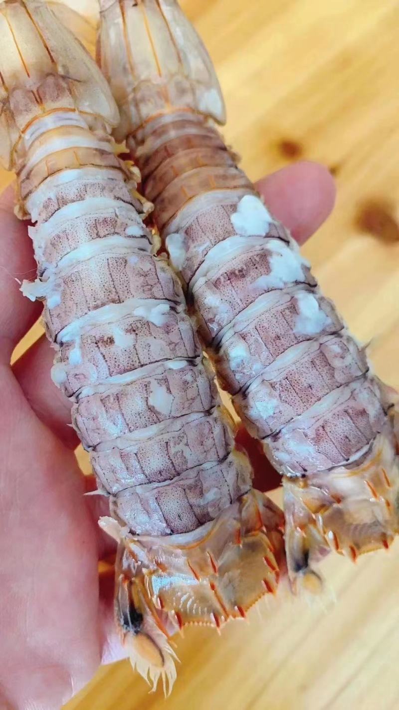 熟冻琵琶虾摆盒装（原产地直销，保证供货量充足）