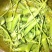 【产地直发】云南新鲜豌豆带壳豌豆荚农家蔬菜青豌豆视频看货
