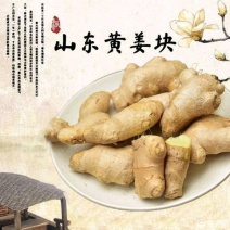 姜母姜把子辣味足块头大【全国发货，坏烂包赔】