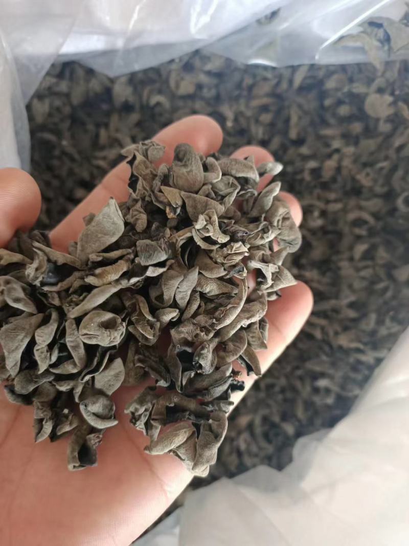 东北黑木耳秋耳黑山木耳吉林碗耳木耳干货长白山
