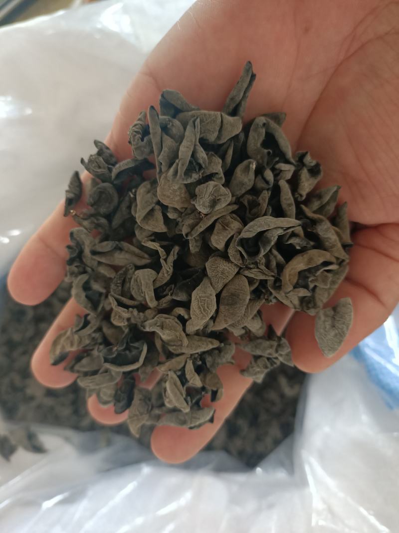 东北黑木耳秋耳黑山木耳吉林碗耳木耳干货长白山