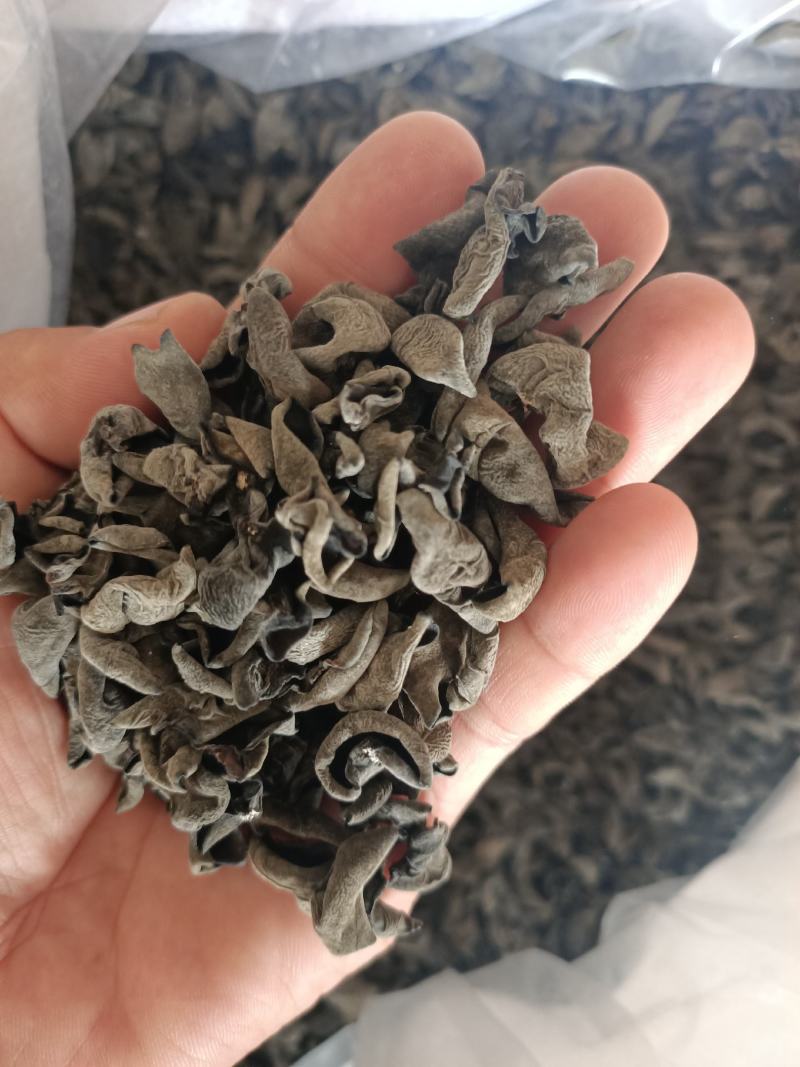 东北黑木耳秋耳黑山木耳吉林碗耳木耳干货长白山