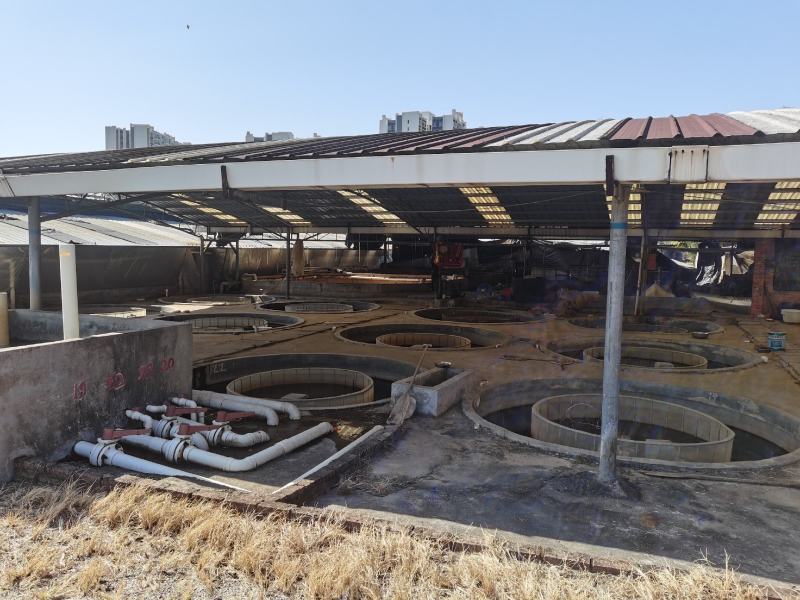 中科5号鲫鱼苗，鲫鱼苗、鲫鱼水花、基地直供、大量现货批发