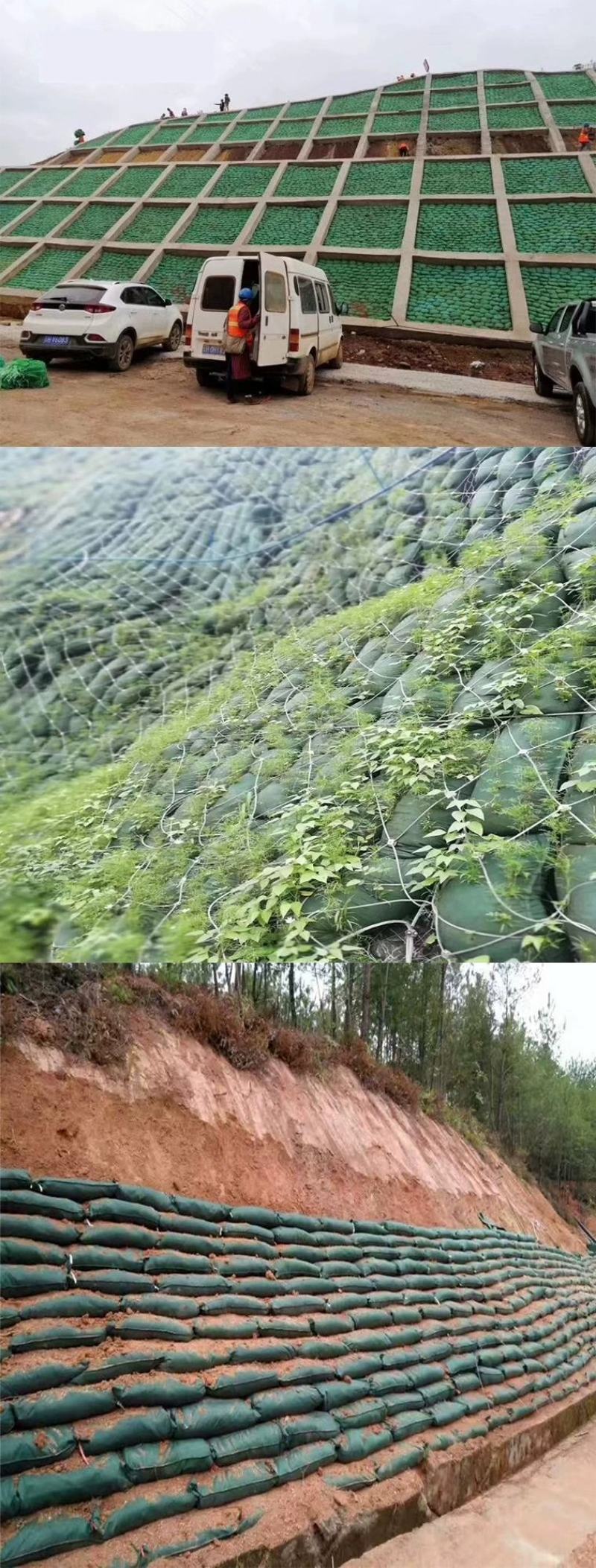 生态袋厂家草籽袋防汛袋护坡防护袋植生袋带草籽植草袋绿色
