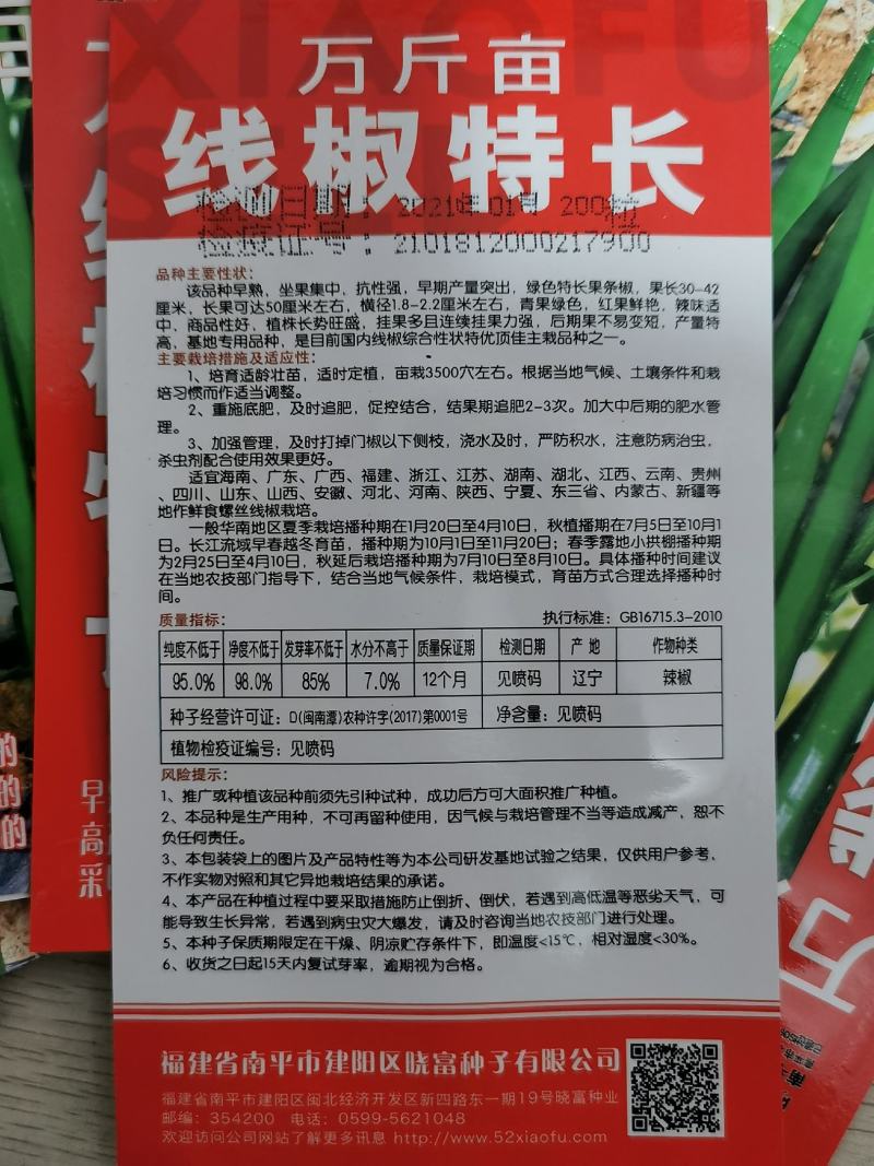 晓富万斤亩特长线椒种子香辣顺直长线椒种子200粒原袋发货