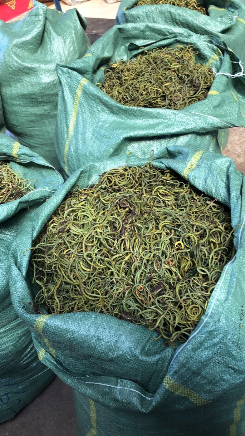 化石草，云南化石草，小叶化石草，颜色绿，干度好，