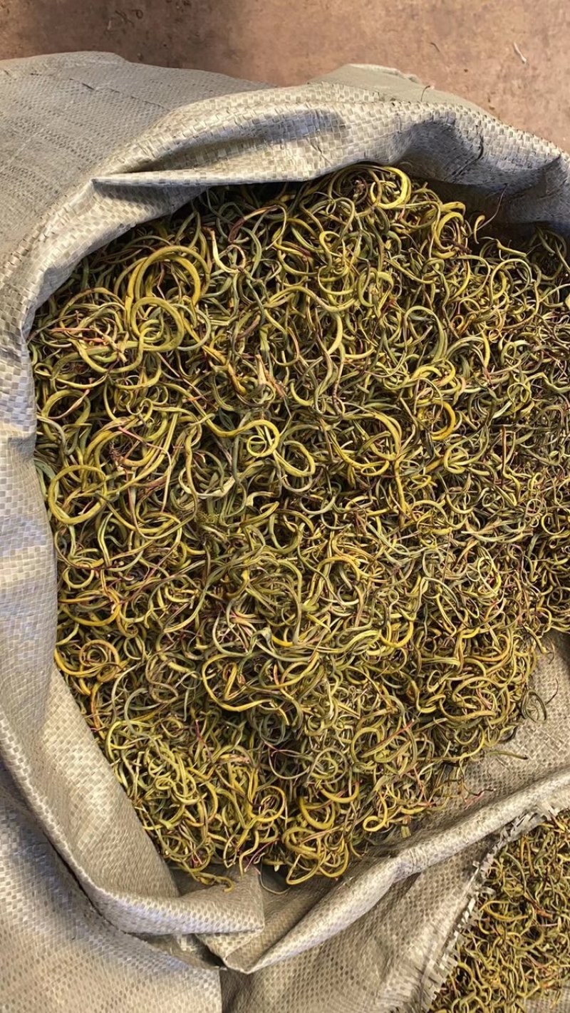 化石草，云南化石草，小叶化石草，颜色绿，干度好，