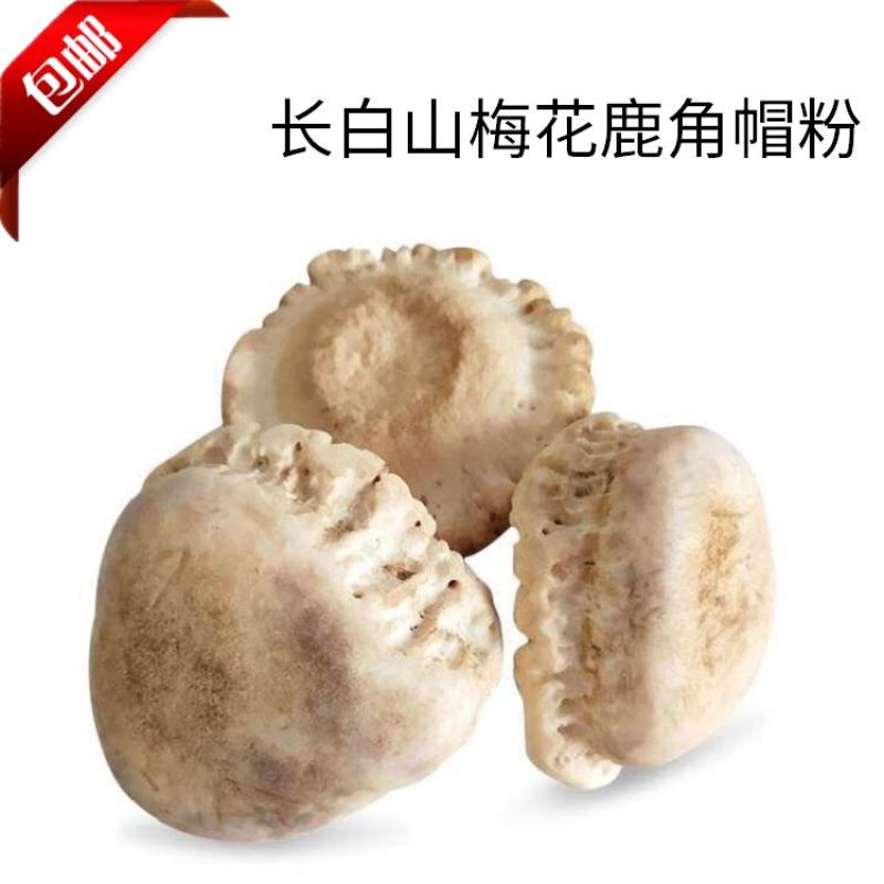 鹿角帽粉东北特产鹿场直销吉林鹿角帽粉正品