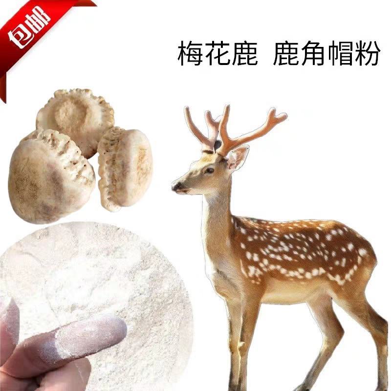鹿角帽粉东北特产鹿场直销吉林鹿角帽粉正品