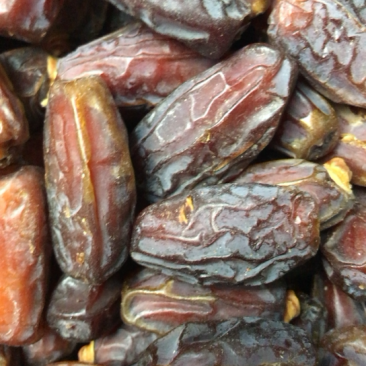 阿拉伯特产老百姓种植的农作物野枣需要的朋友们可以联系我