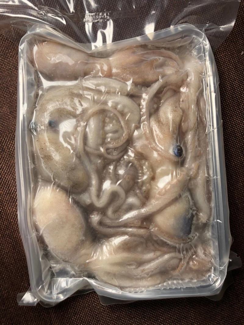 八爪鱼，八爪鱼，爆头八爪鱼，烟台八爪鱼，活冻八爪鱼