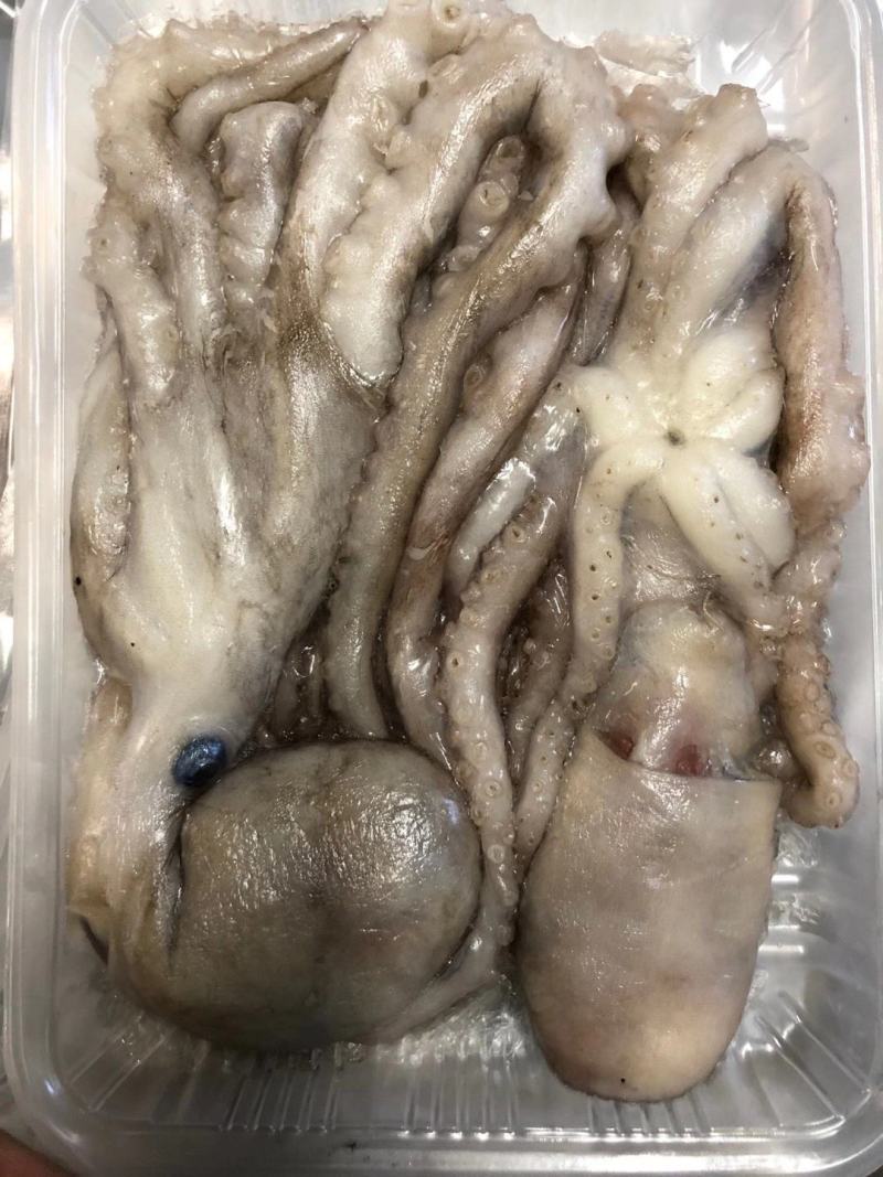 八爪鱼，八爪鱼，爆头八爪鱼，烟台八爪鱼，活冻八爪鱼