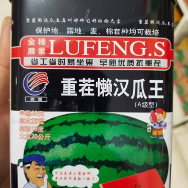 重茬懒汉瓜王（早熟28天高抗重茬高糖，详细介绍请看包装说
