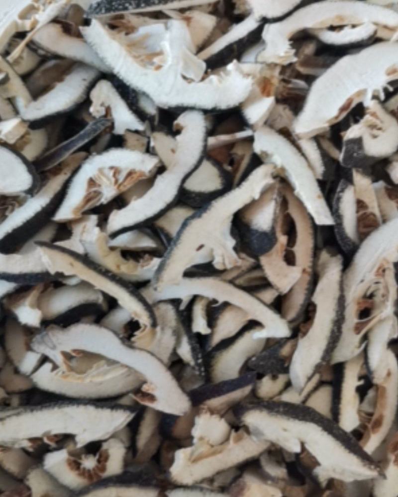 江西枳壳无杂志过筛货质量保证