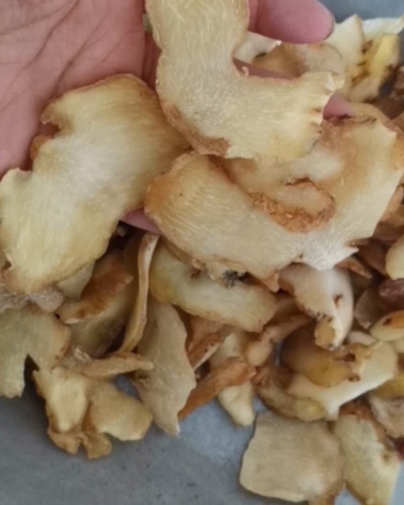 黄精选装片质量保证大量批发零售
