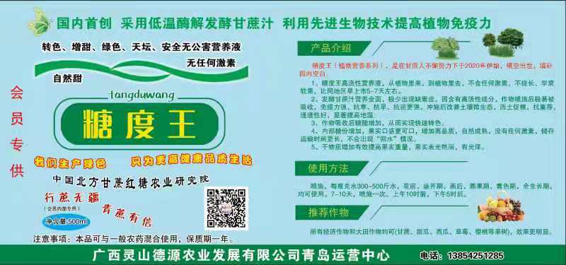 糖蜜北方甘蔗手工糖蜜手工红糖后的天然红糖糖蜜