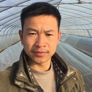 韭菜自家种植大量预售