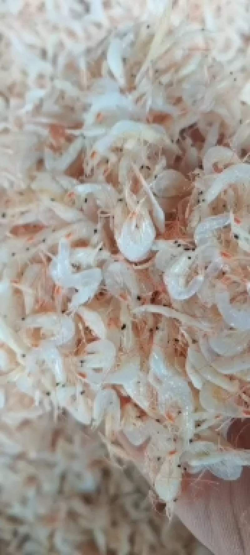 山东虾皮淡干虾皮海鲜干货批发常年有货批发价好
