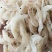 山东虾皮淡干虾皮海鲜干货批发常年有货批发价好