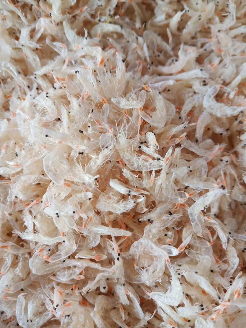 山东虾皮淡干虾皮海鲜干货批发常年有货批发价好