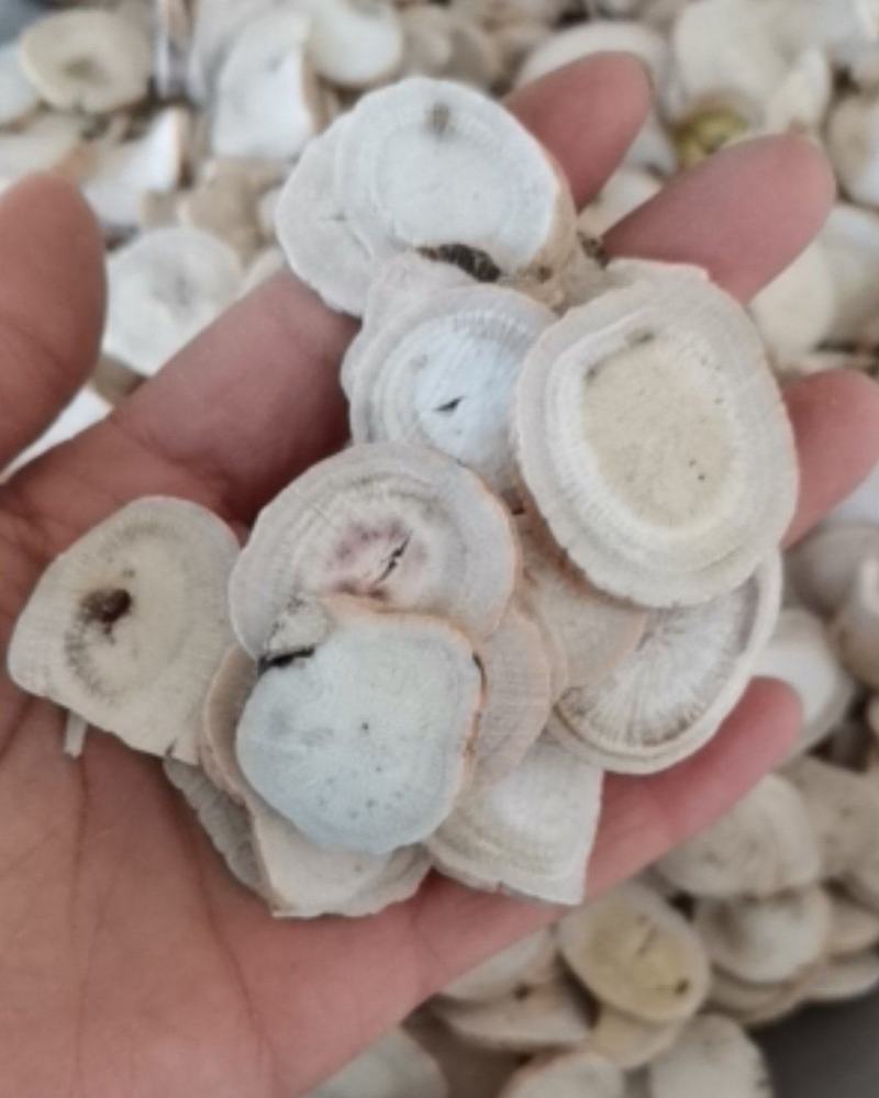 白芍选装货质量保证可视频看货